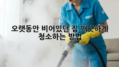 오랫동안 비어있던 집, 깨끗하게 청소하는 방법