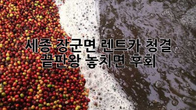 ✨ 세종 장군면 렌트카 청결🧼 끝판왕! 놓치면 후회😭