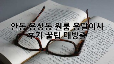 안동 용상동 원룸 용달이사 후기: 꿀팁 대방출!